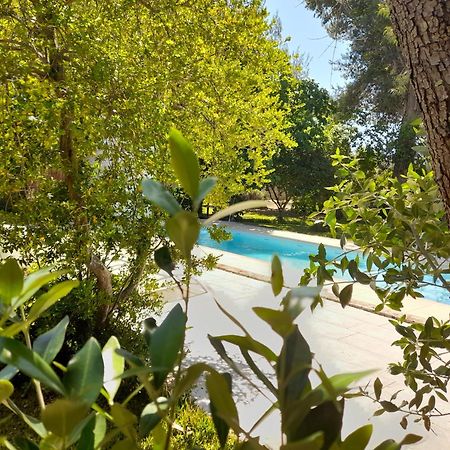 Villa La Dimora Dei Gelsi Castri di Lecce Exterior foto