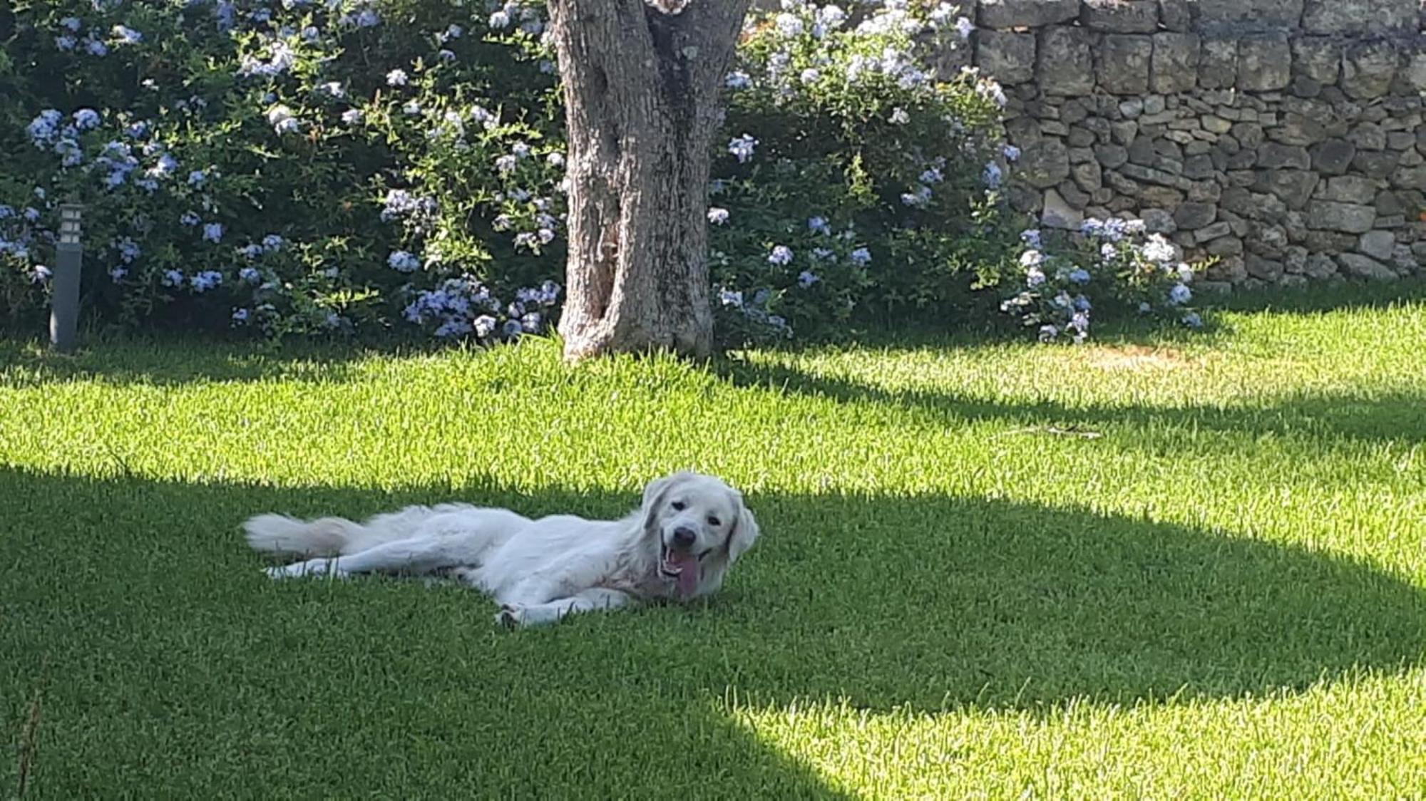 Villa La Dimora Dei Gelsi Castri di Lecce Exterior foto